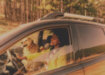 Best Auto Insurance Options for Your Road Trips