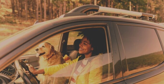 Best Auto Insurance Options for Your Road Trips