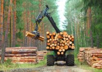 How Technology Is Changing Forestry and the Timber Industry How Technology Is Changing Forestry and the Timber Industry