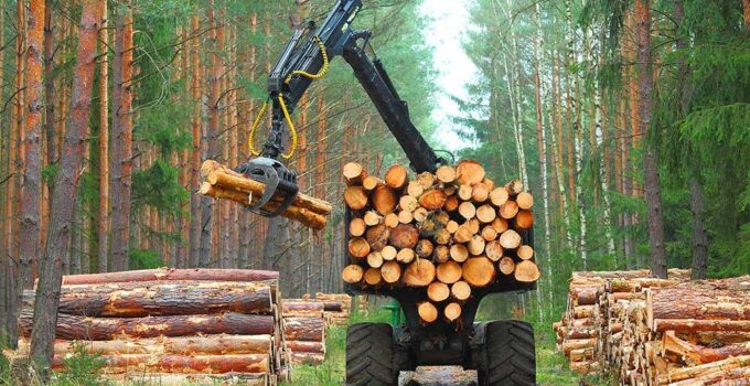 How Technology Is Changing Forestry and the Timber Industry